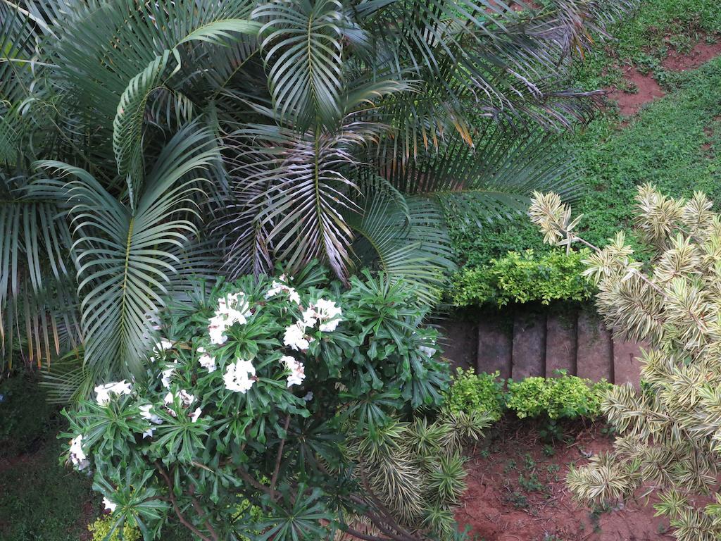 Kandy View Garden Hotel Εξωτερικό φωτογραφία